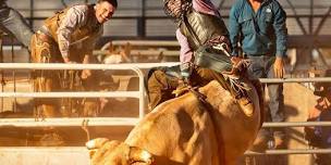 Coolgardie Outback Festival