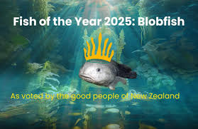 Image result for blobfish