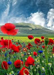 صورة منظر طبيعي رائع Beautiful Photography Nature Beautiful Nature Nature Photography