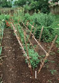 Tomato Support Garden Structures You Can Build Diy Garden Trellis Plants Garden Structures