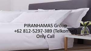 Promo Sprei Hotel Bandung Sprei Hotel Bahan Sprei Hotel Bali Sprei Bekas Hotel Sprei Bed Cover Hotel Kami Piranhamas Group Bed Cover Sprei Hotel Murah