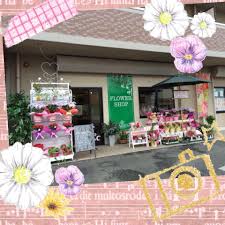 CAREO FLORIST