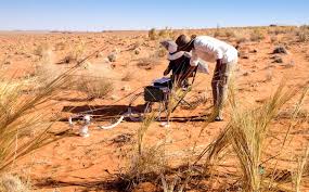 Due to areas of differing rainfalls and soils, there is a variety of plants from the desert and semi desert vegetation to the subtropical species, but most of the country is covered with savannah and dotted with acacia. One Of The World S Driest Deserts Is The Focus Of A New Study On Our Changing Climate Asu News