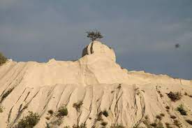 Maybe you would like to learn more about one of these? Pinzaru Inga