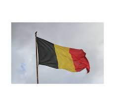 La bandera de bruselas no está rodeada de polémica, ya que la primera bandera fue adoptada en la capital en 1991. Bandera Belgica Rotuvall