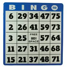 This is a guide about making bingo cards. Braille And Tactile Plastic Bingo Card Vision Forward