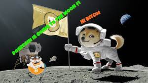 Follow and join the cause!!! Dogecoin Doge 15 And Spiking Like Crazy Elon Musk Tweet Watch Live Chat Tts 15 4 2021 Youtube