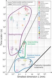 Geometry and mechanics in the opening of chiral seed pods. Physical Limits And Design Principles For Plant And Fungal Movements Science