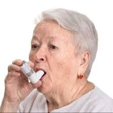 Lilly Marsh (lillymarsh906)