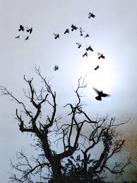Bird On Branch Silhouette Tattoo Surreal Nature Photograph Of Promise Flying Birds Tree Silhouette Doves Flight Branches Sky Dre Tree Silhouette Tattoo Flying Bird Silhouette Bird Silhouette