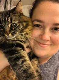 Lost stray kitty in Gilbert, AZ area