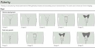 48 Extraordinary Puberty Chart For Guys