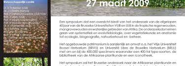 Image result for Cynorkis symoensii