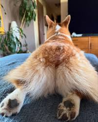 Harper Collins-Davis (@harpercollinsdavis) • Instagram photos and videos