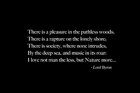 Pin By Megan On Into The Wild Words Cool Words Quotes