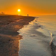 Image result for Sandy Beach Brown 2011 Captiva