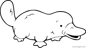 Coloring books for boys and girls of all ages. Easy Cute Platypus Coloring Page Coloringall
