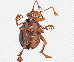 Steve durham from envirocon termite & pests discusses regular home pests control treatments in the kitchen.we look at pests around the sink like ants and. Home Inspection House Pest Control Window House Kitchen Furniture Png Pngegg