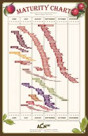 Whether you need a perennial for full sun or full shade we have plenty of choices. Adams County Nursery Fruit Maturity Chart For Clear Picture Http Www Acnursery Com Maturity Chart Pdf Homegrown Fruits Chart Flower Chart