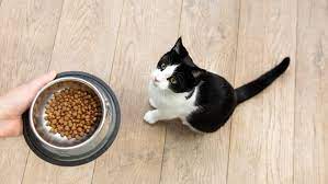 Not every food brand supplies what they promise, though what makes this brand stand apart from other kitten food brands is that it is a raw diet kitten food. What To Feed A Kitten Best Food For Kittens Purina