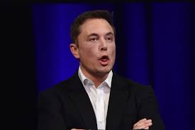 Elon Musk's Cult Following Keeps Tesla Stock Soaring Despite Huge Loss |  Observer