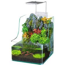 Pin On Aquarium