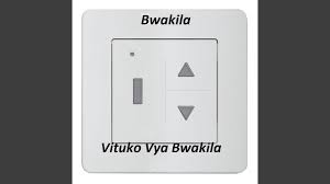 Check spelling or type a new query. Aina Za Damu By Bwakila Topic