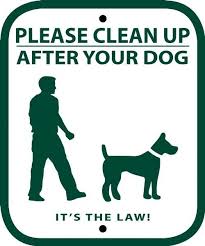 No Leash And Curb Dog Sign Dog Signs Dogs Dogs Pooping