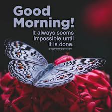For catalog requests outside the u.s. Good Morning New Hd Wallpaper 2021
