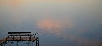 In the 1950s, hazardous chemicals known as polychlorinated biphenyls, or pcbs, were released by paper companies into wisconsin's fox river/green bay ecosystem. The Village Of Fox Lake In Lake County Illinois