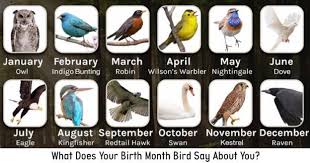 August Bird Of The Month Our Birth Month Does Have Its Respective Bird Used As A Symbol Or Representation And These Birds Have Something Birth Month Birth Month Symbols Birth Symbols