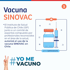 Chile cuenta desde la semana pasada con al menos dos millones de vacunas del laboratorio chino sinovac. Facebook