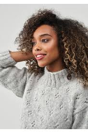 The Blogger's Edit (book)