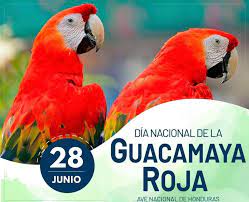Hoy lunes 28 de junio se celebra en todo el mundo el día internacional del orgullo lgbt. Cada 28 De Junio Se Celebra El Dia Dia A Dia Con Melissa Facebook