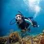 Diving Bay of Plenty from travel.padi.com
