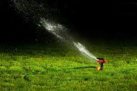 Watering at night allows more time for the water to seep deeper into the soil before it gets warmed by the sun. Can I Water My Lawn At Night Garden Tabs