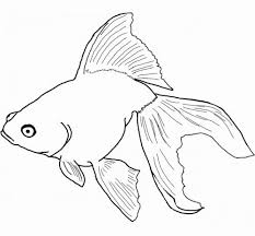 Un tutorial passo passo che spiega come un tutorial passo passo che spiega come si disegna un gatto, adatto anche ai bambini. Pesci Da Colorare Immagini Da Stampare Per Bambini A Tutto Donna