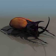 Beetles Animals 32 3d Model Download Free 3d Models Download 3d Model Beetle Model