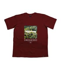 Manga Curta Camiseta Chronic Orginal Dream Big