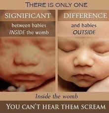 Adoption Is An Option