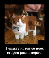 Новые демотиваторы за неделю | Mixnews