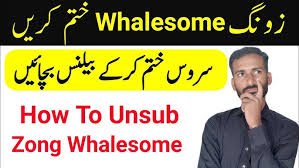 Monthly Social & Youtube Offer | Zong 4G Pakistan