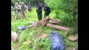 Remains Identified As American Missing In Mexico Cnn