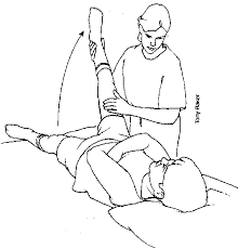 Exercises Lower Extremities Older Child Passive