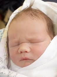 Fotogalerie: Miminka 12. týden