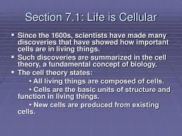 1 chapter 7 cell structure and function section 7 1 life is cellular (pages ) key concepts what is the cell theory? Ppt Cell Structure And Function Powerpoint Presentation Free Download Id 1133708