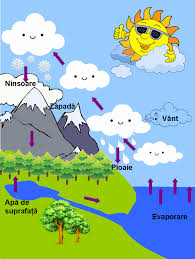 Maybe you would like to learn more about one of these? Circuitul Apei In NaturÄƒ