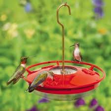 You can move the bee feeder further from hummingbird feeders each day until well enough out of the way. Essential Tips For Hummingbird Feeders Wild Birds Unlimited Wild Birds Unlimited