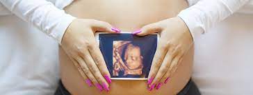 Cinco Cambios Y Sobresaltos Que Notaras En Tu Barriga De Embarazada