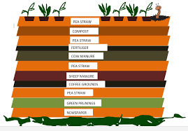 A raised garden bed is an elevated garden bed that sits higher than the surrounding soil or the how to start your permaculture garden. My Green Garden No Dig Gardens